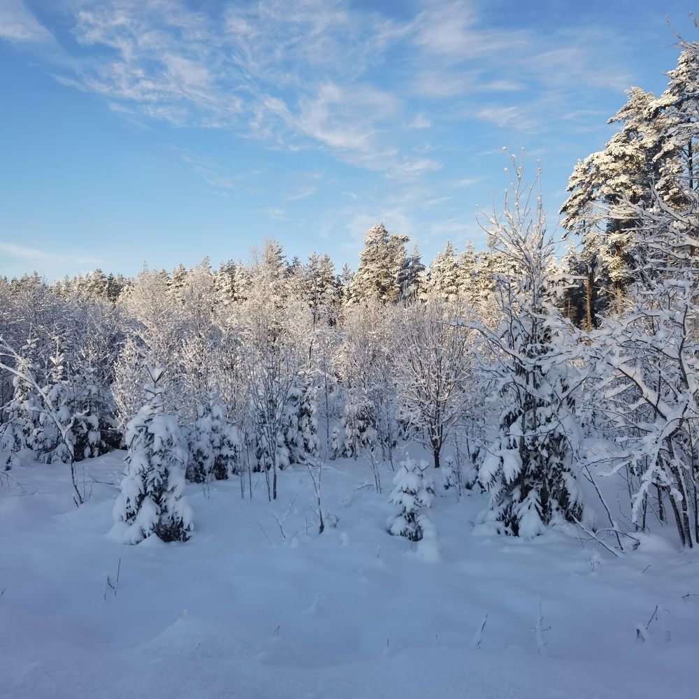 Photograph by Андрей Егоров