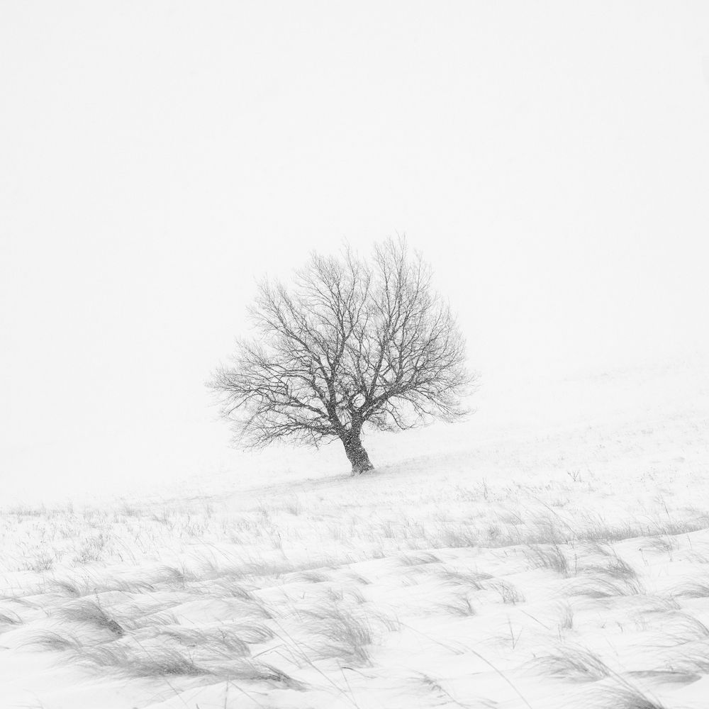 Фотография автора  Евгений