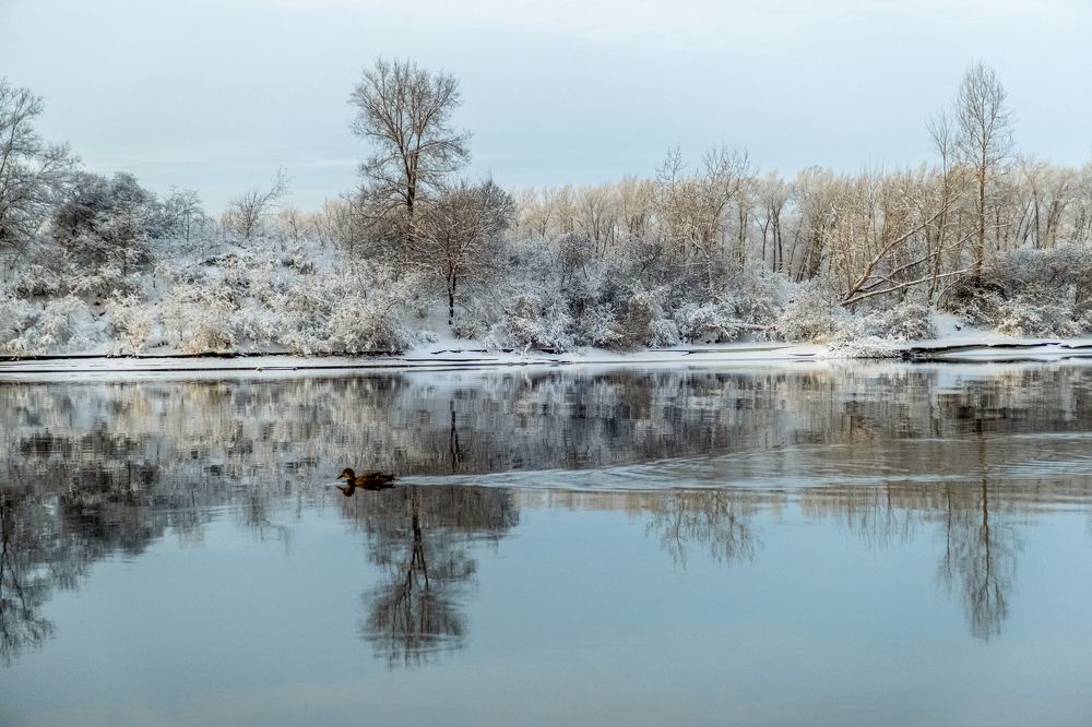Photograph by Александр Князев