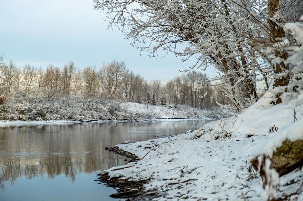 Photograph by Александр Князев