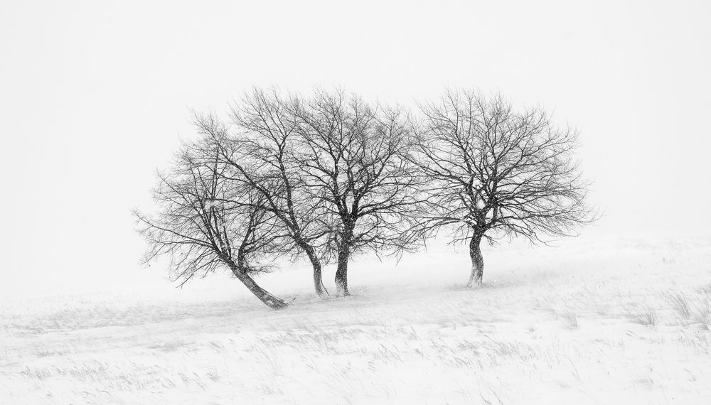 Фотография автора  Евгений