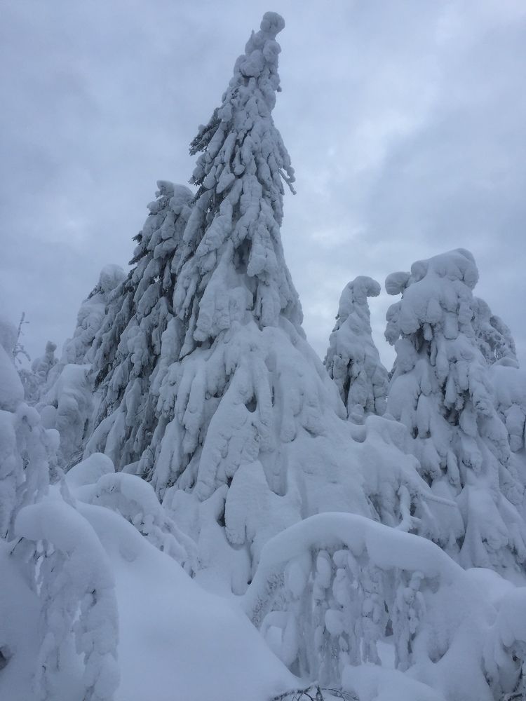 Photograph by Максим Ковригин