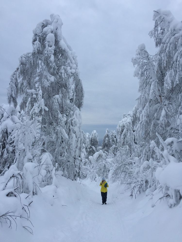 Photograph by Максим Ковригин