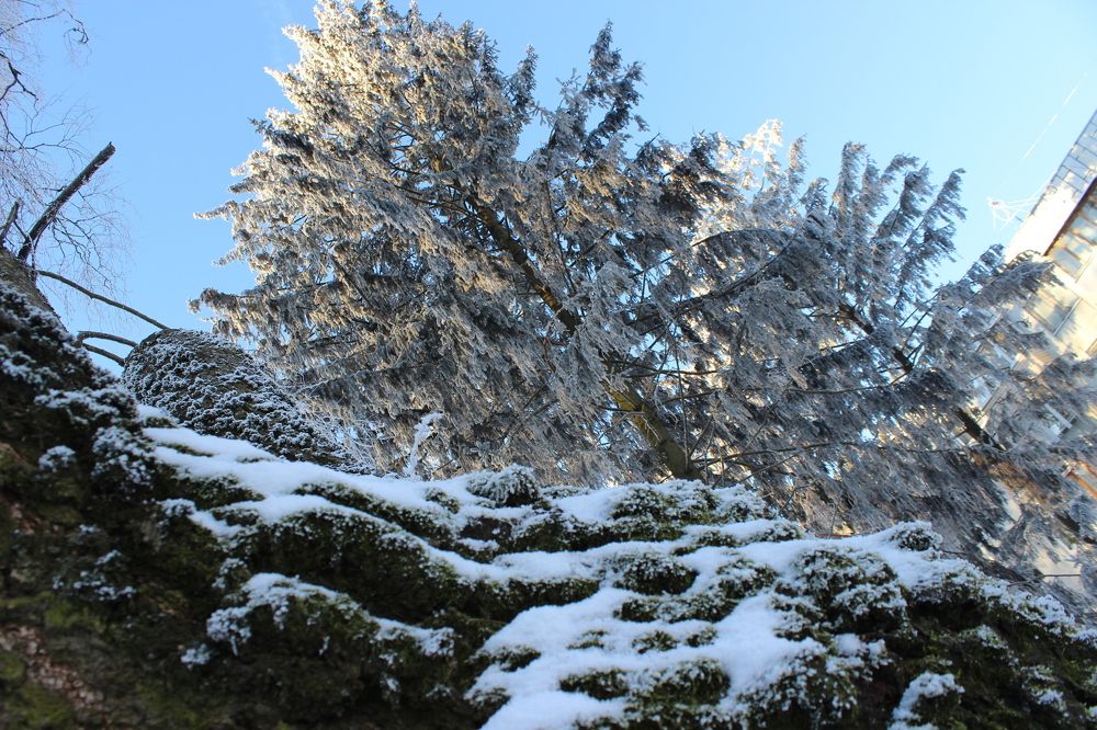 Фотография автора Катеренчук Андрей