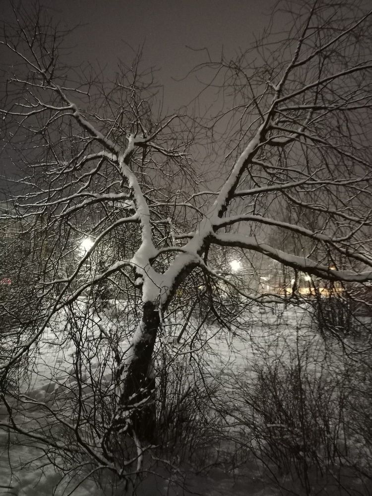 Photograph by Ирина Сафронова