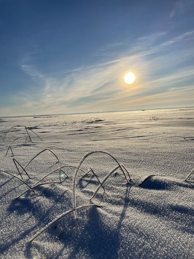 Photograph by Светлана Пронякина