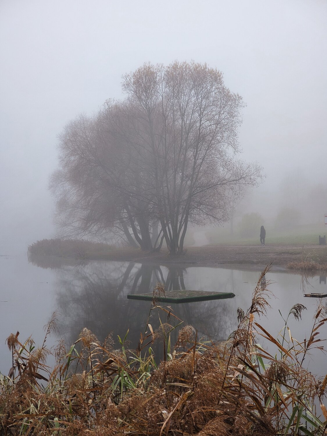 Photo #6932532