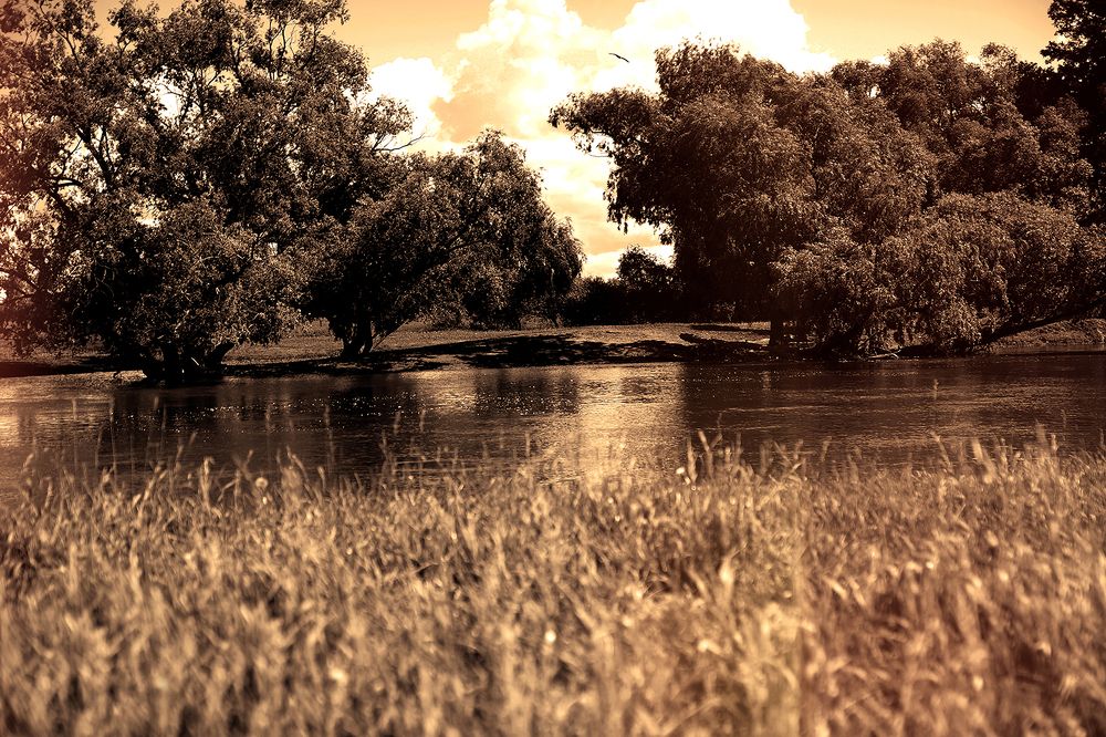 Фотография автора Павлов Дмитрий