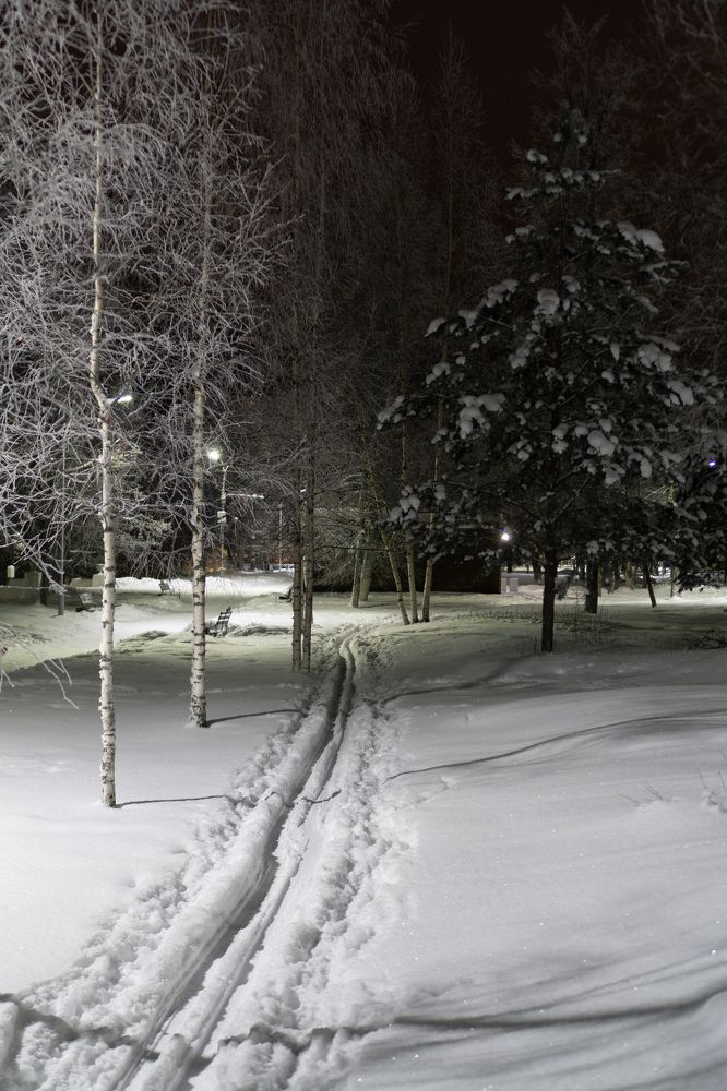 Photograph by Алексей Орнатский