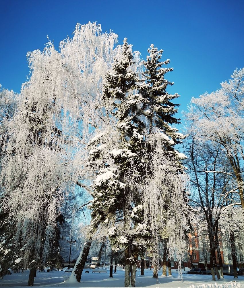 Photograph by Елена Артёменко