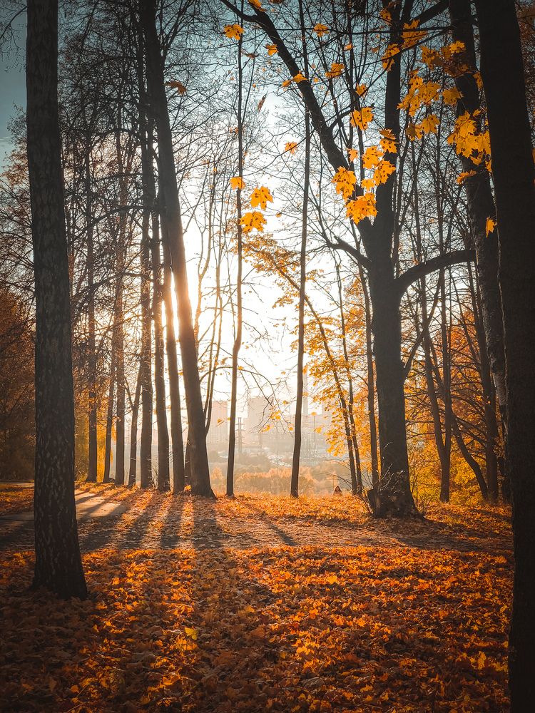Photograph by Любовь