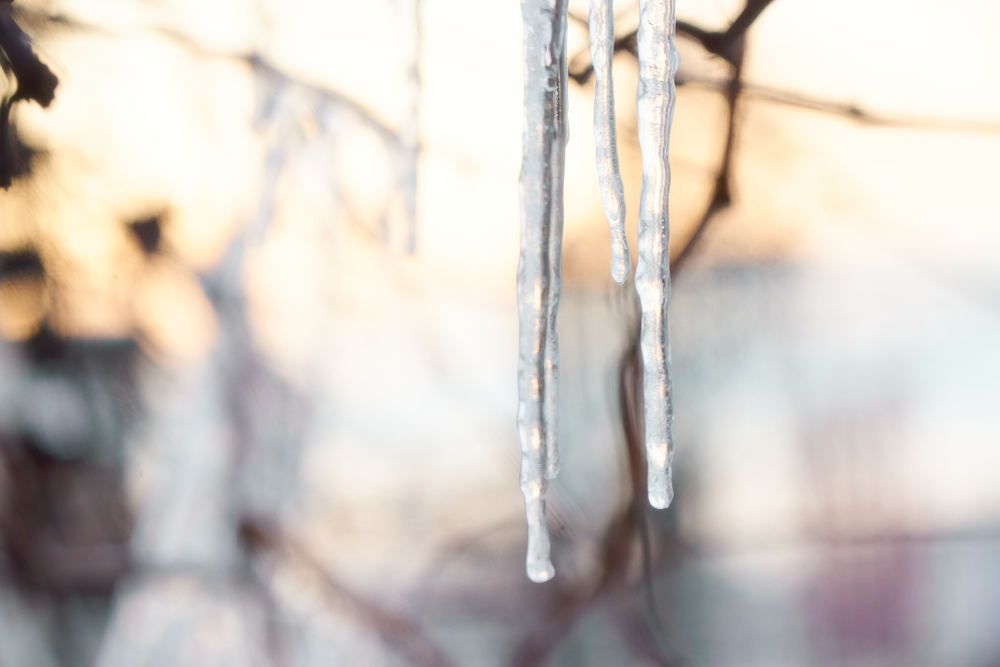 Photograph by Андрей Халемонец