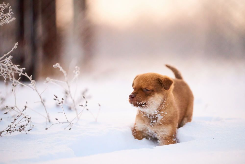 Photograph by Андрей Халемонец