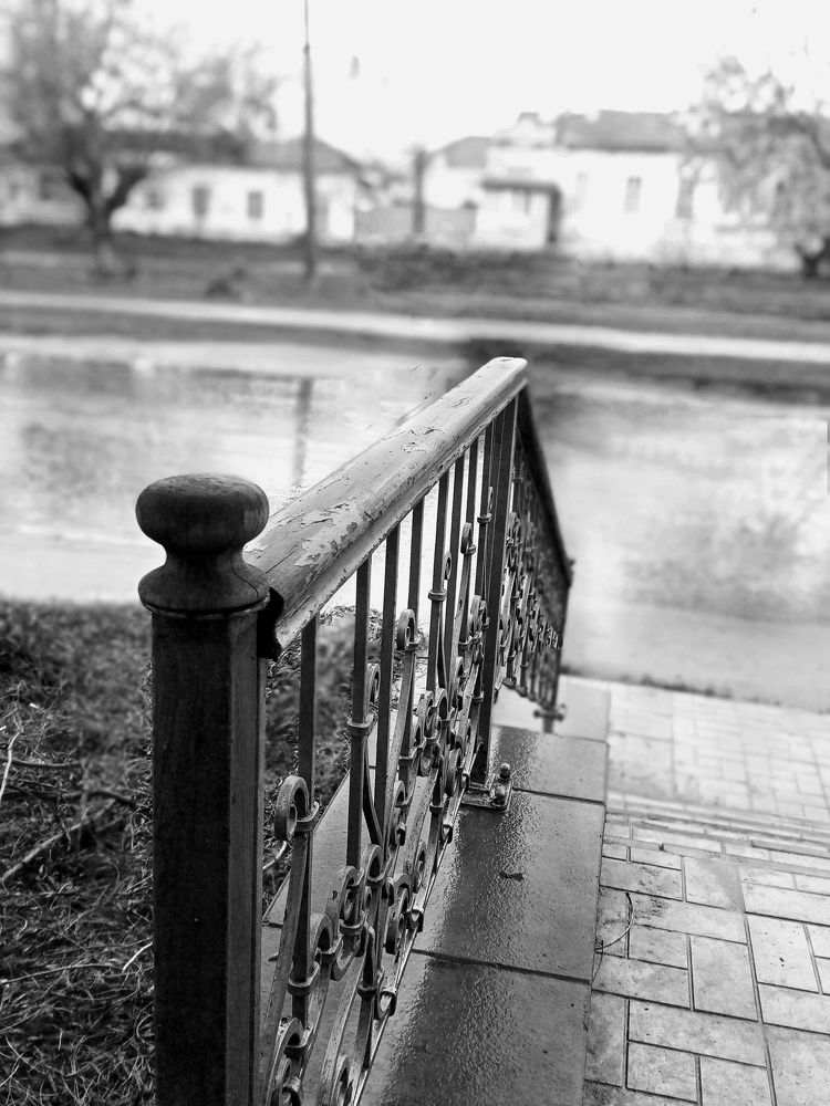 Photo #6932777