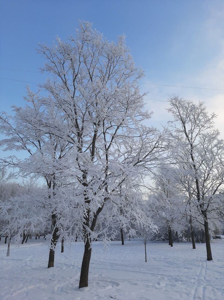Фотография автора Светлана Дунаева
