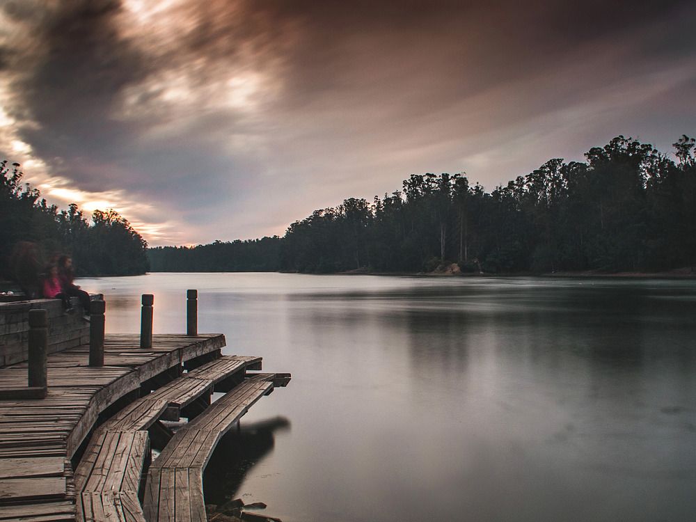 Photograph by Geraldine Michell