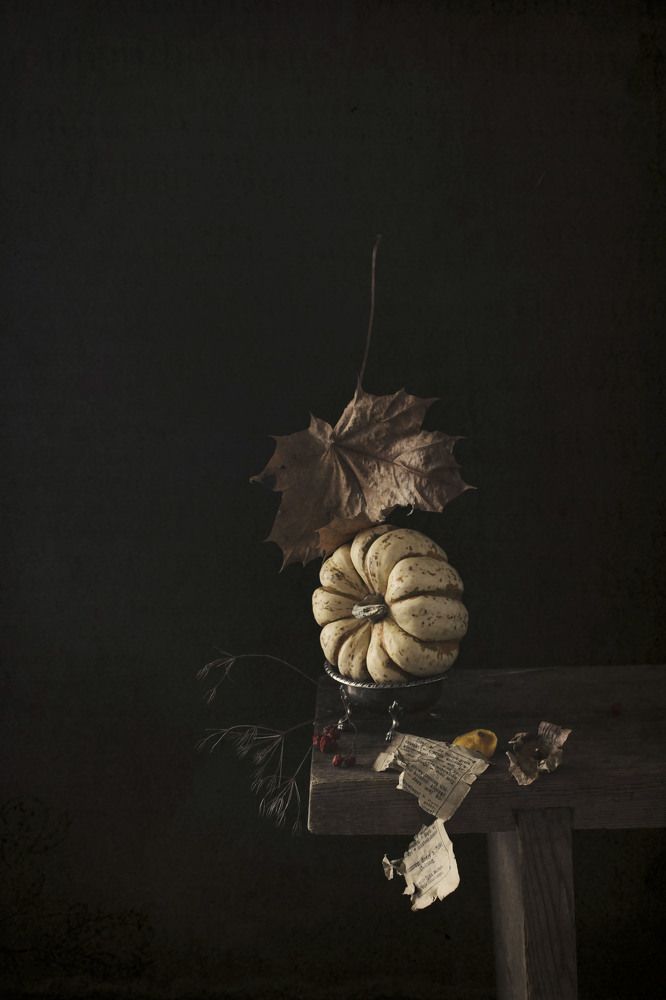 Фотография автора Коршак Елена