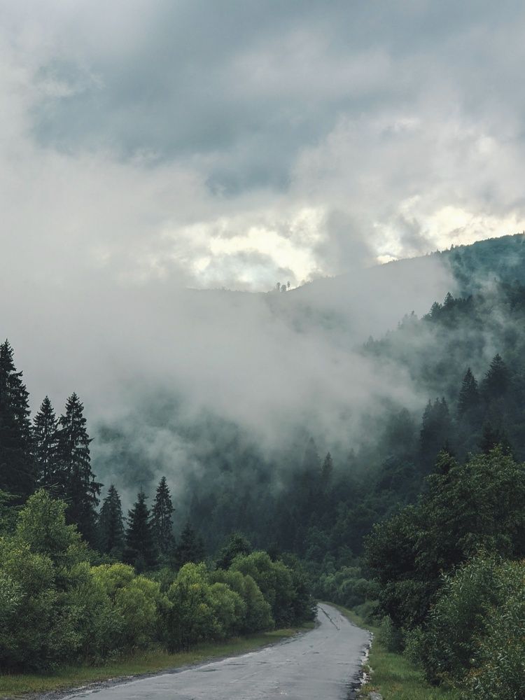 Photograph by Сергей Скарженюк