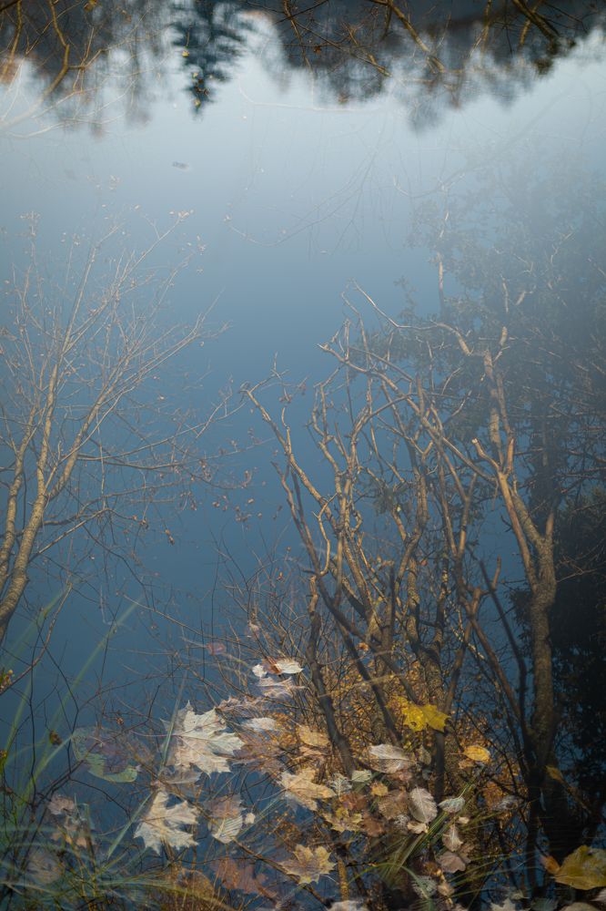 Photograph by Елена Митрофанова