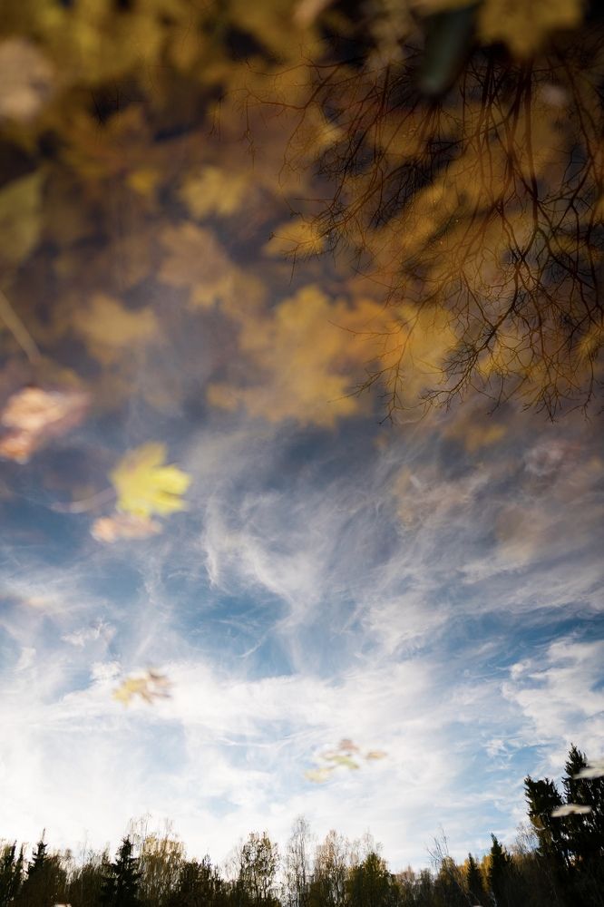 Photograph by Елена Митрофанова