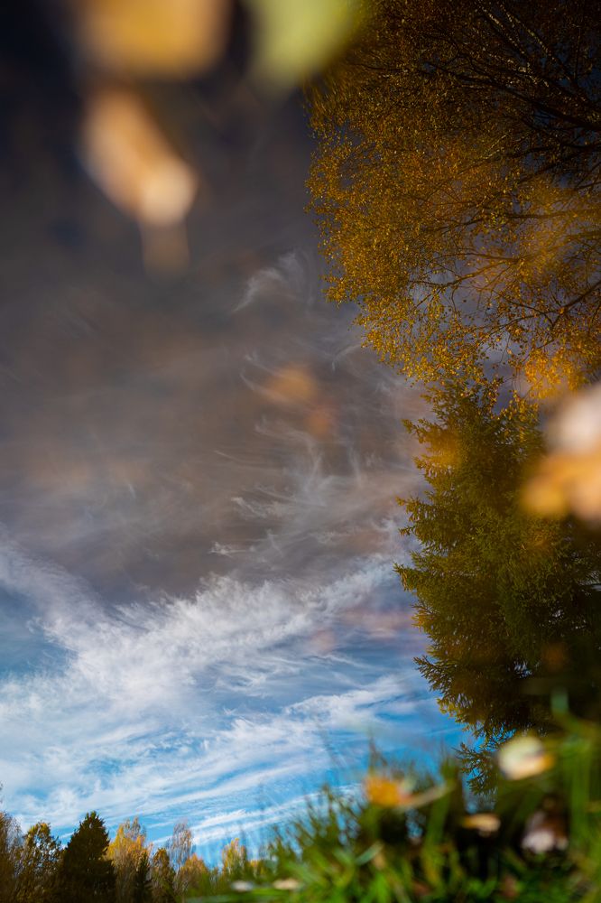 Photograph by Елена Митрофанова