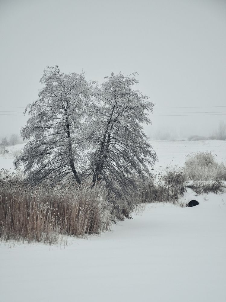 Photograph by Надежда Раскина