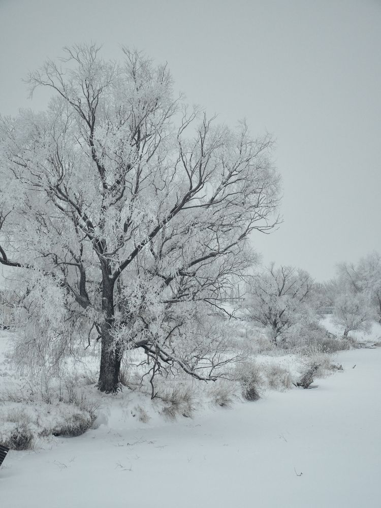 Photograph by Надежда Раскина