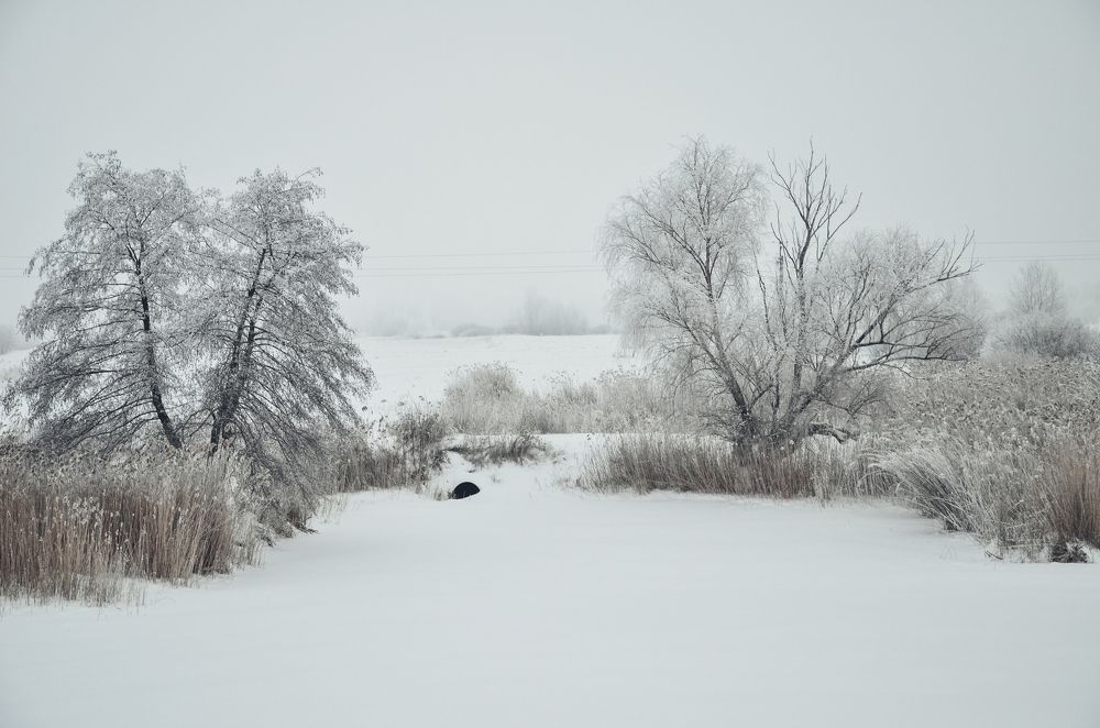 Photograph by Надежда Раскина