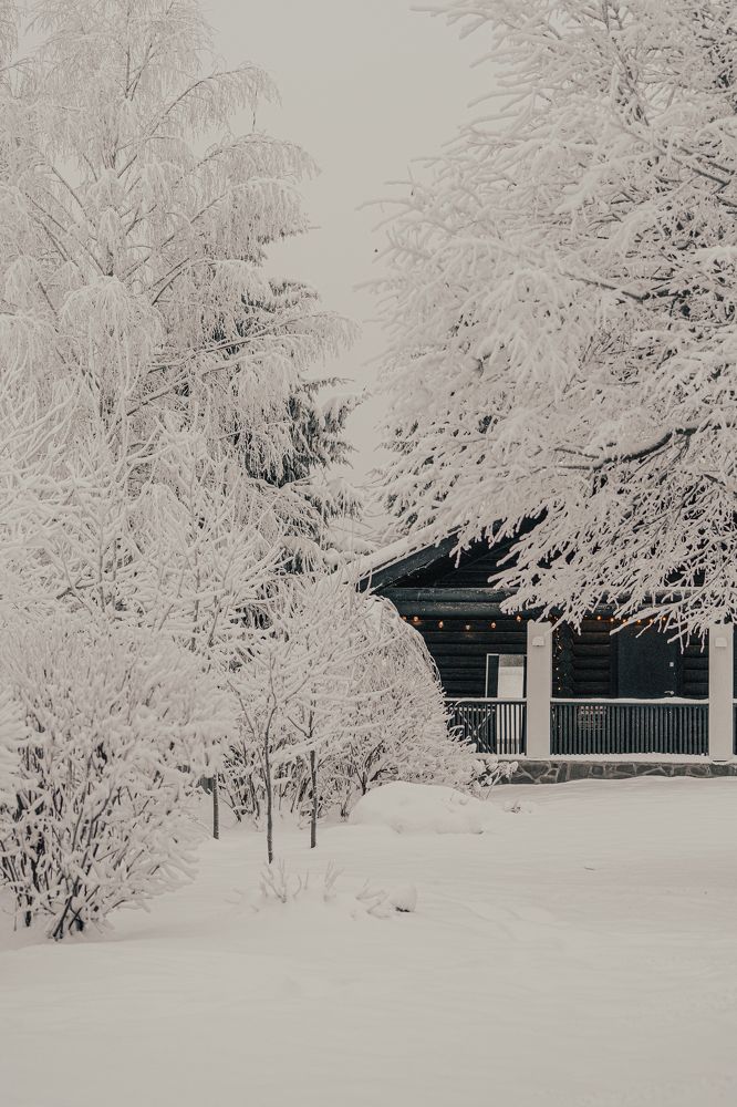 Photograph by Елена Митрофанова