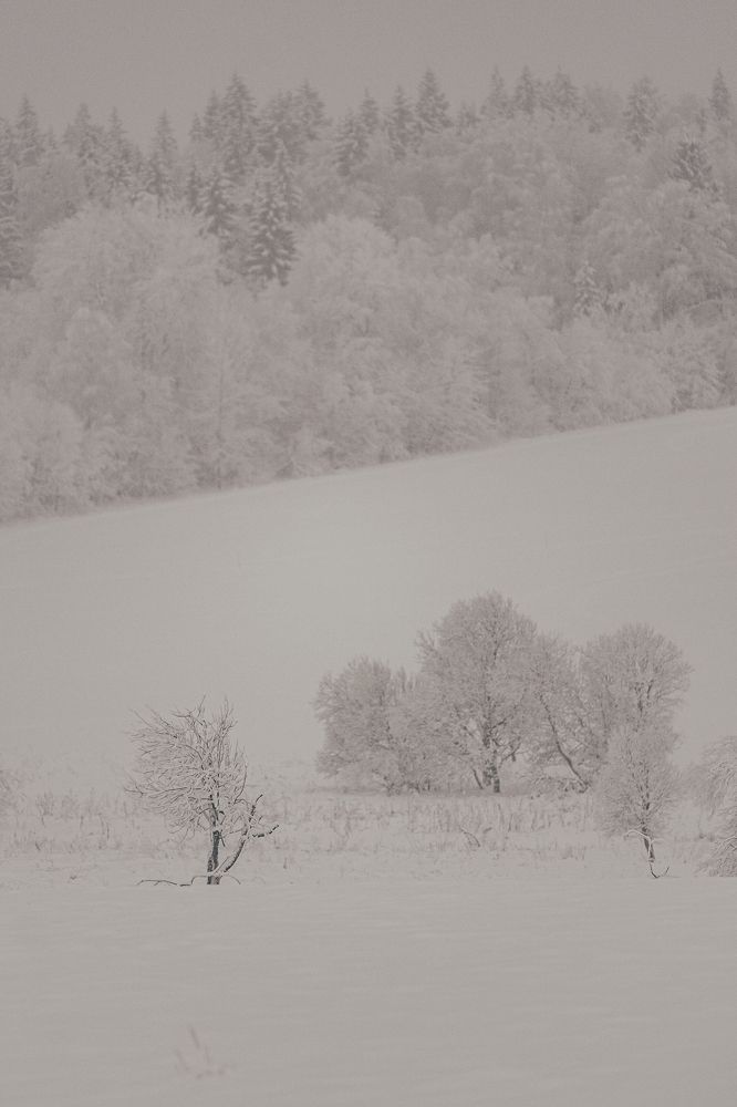 Photograph by Елена Митрофанова