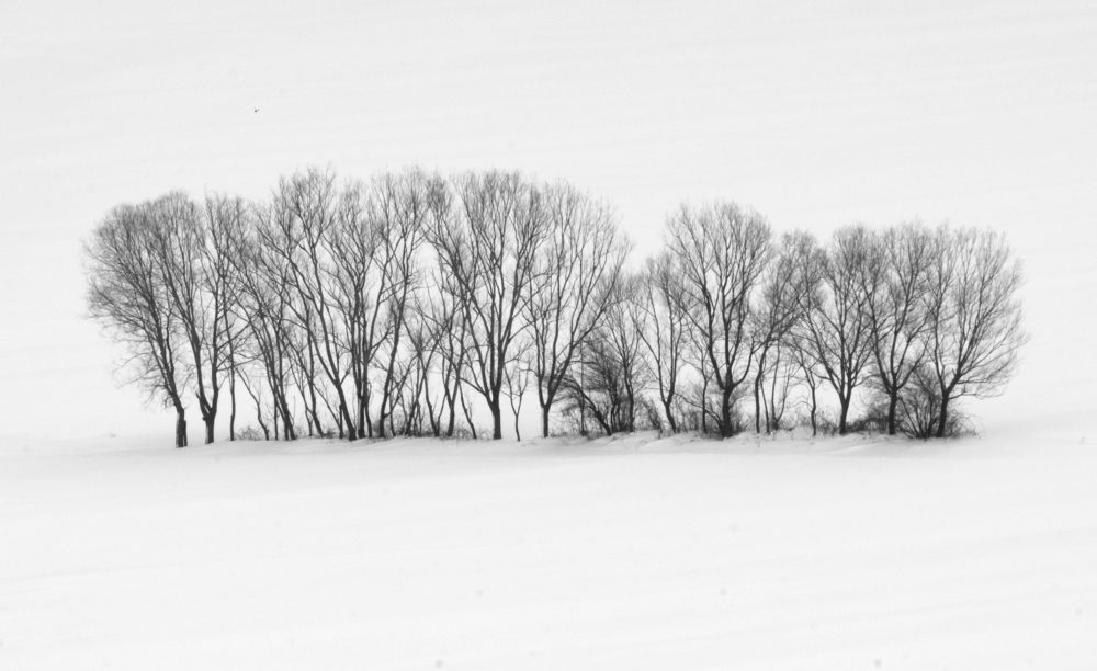 Photograph by hanife yalcin