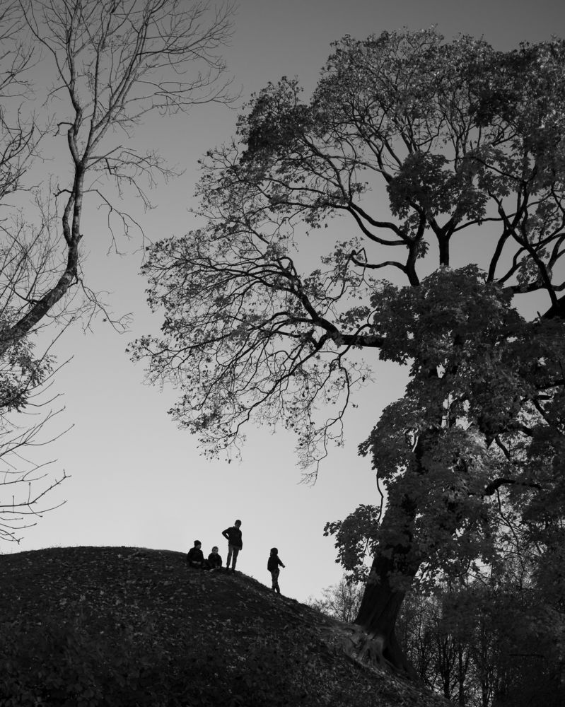 Photograph by Игорь Бобров