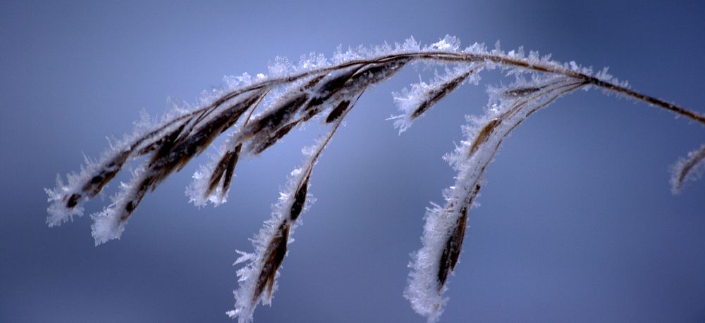 Photograph by Ирина Вассерлауф