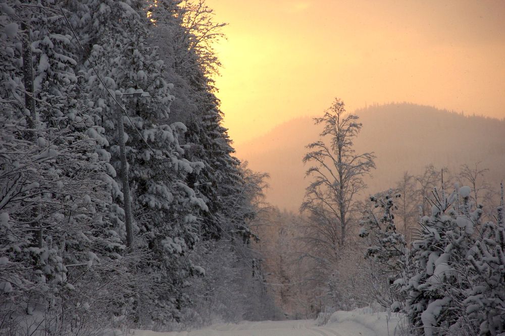 Photograph by Лада Денисова