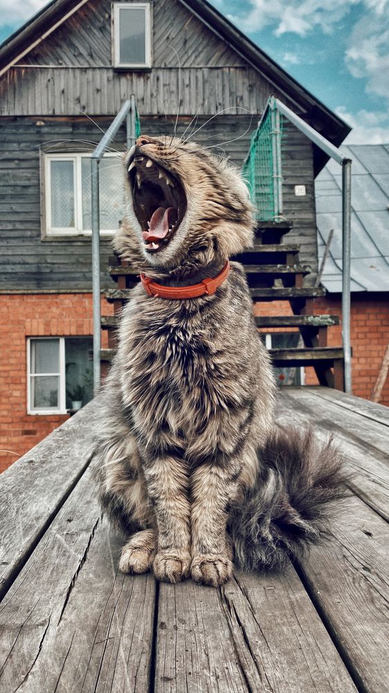 Photograph by Наталья Домненко