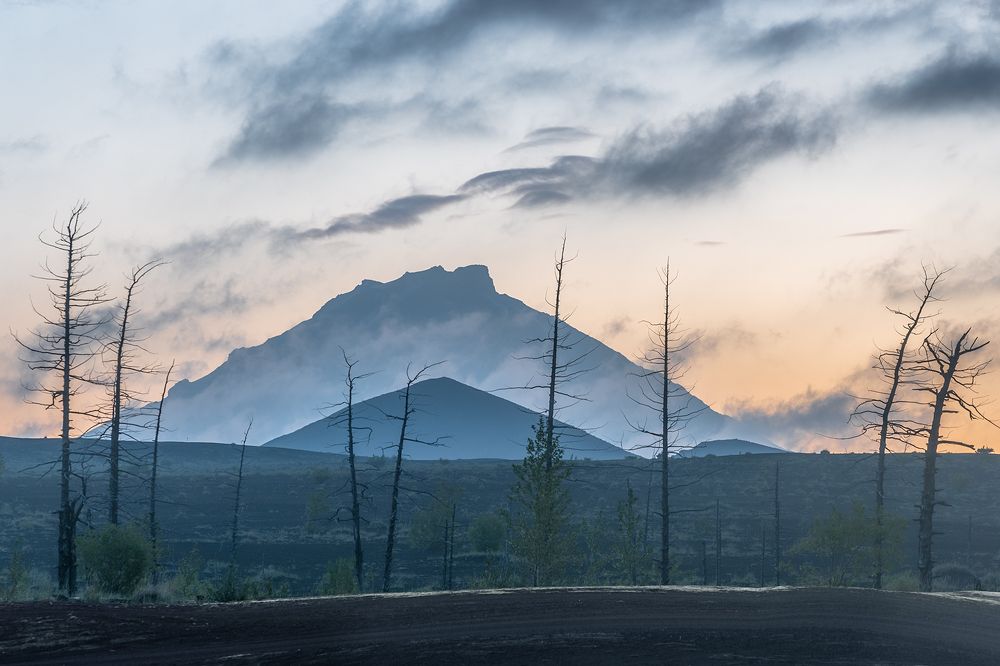 Photograph by Крицак Ольга