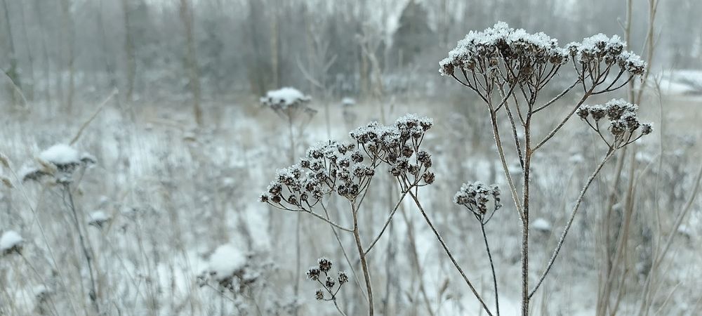 Photograph by Epp Tappel