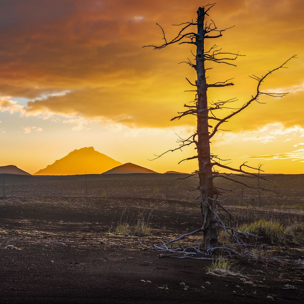 Photograph by Крицак Ольга