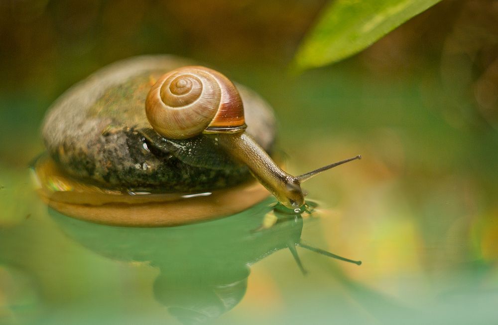 Photograph by Виктория Уварова