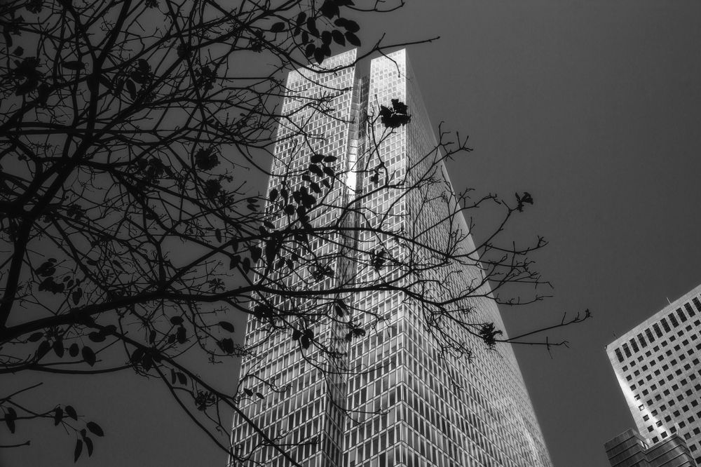 Фотография автора Bobus