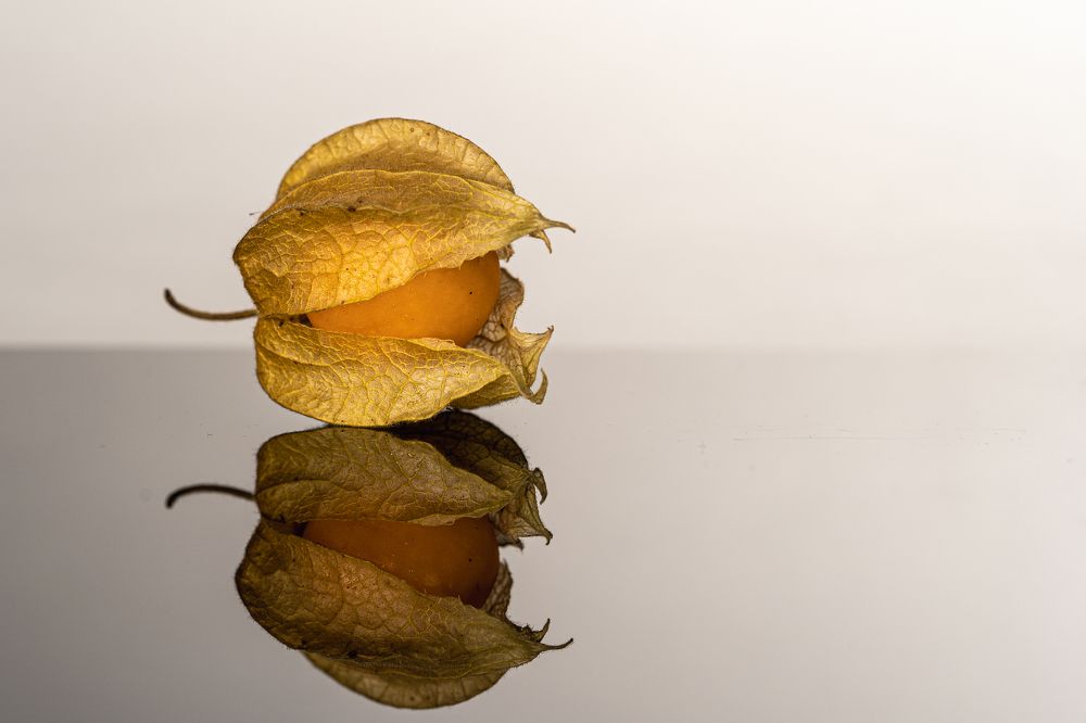 Фотография автора Patricia Machado