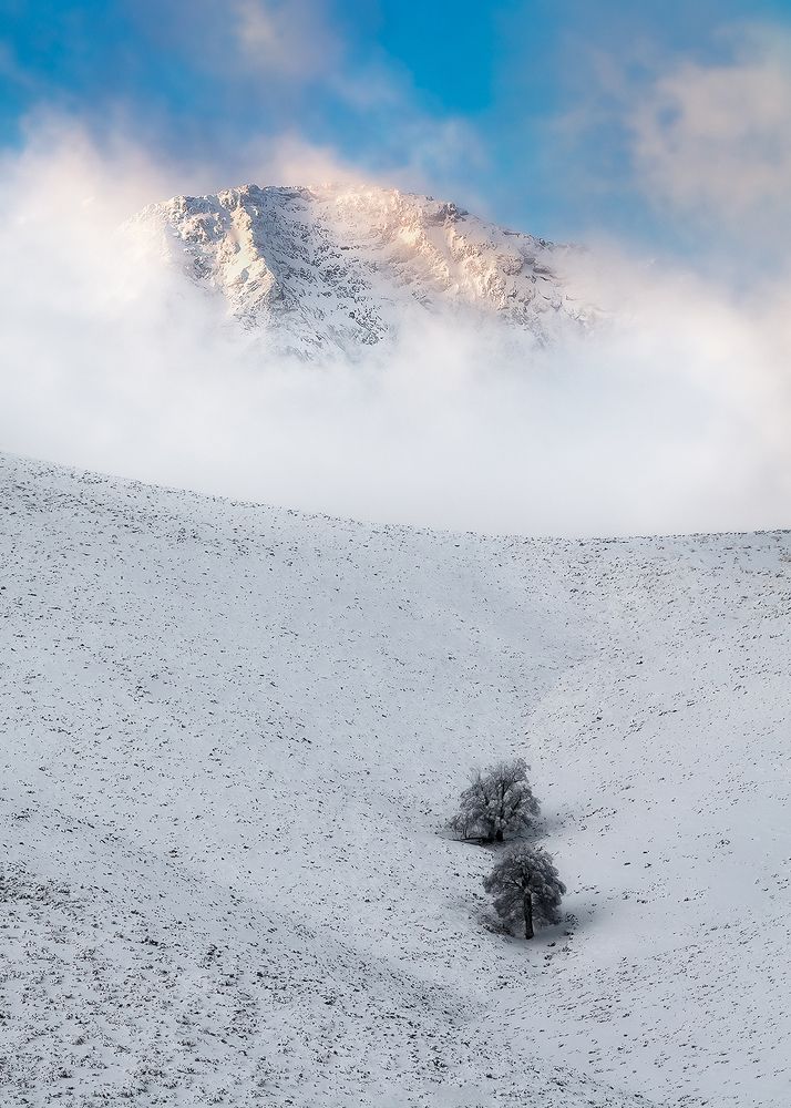 Photograph by sajjad saadat