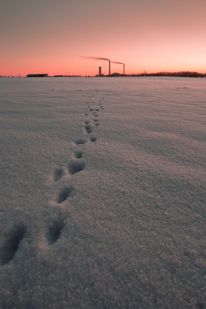 Photograph by Alexander Slizh