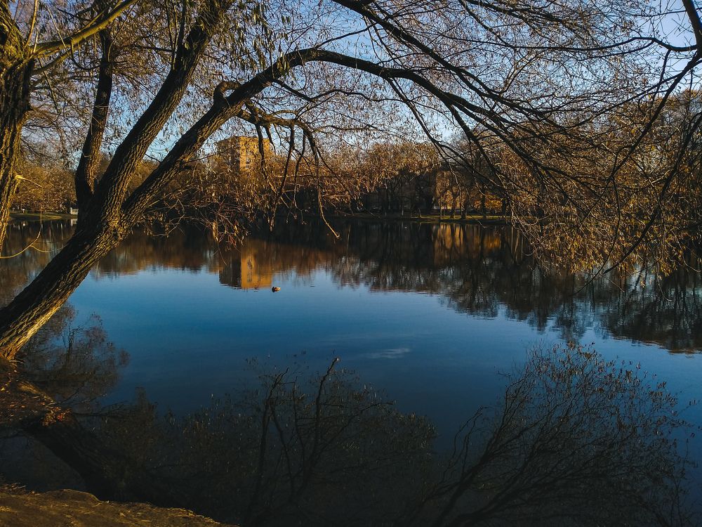 Photograph by Светлана Крошенкова