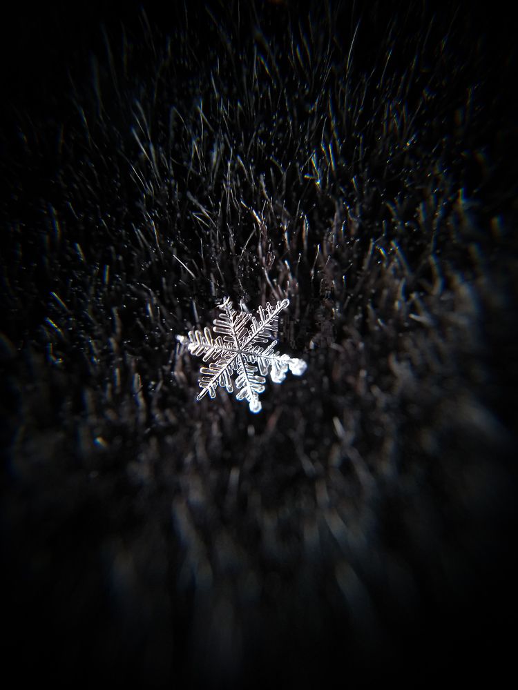 Photograph by Светлана Крошенкова