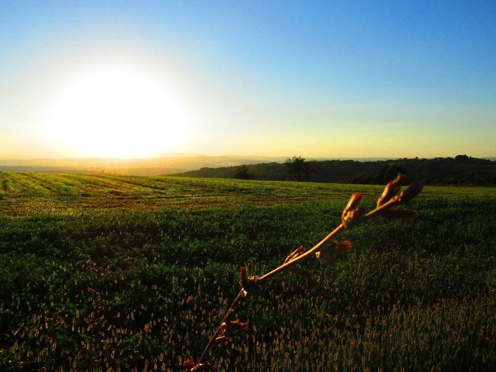 Photograph by Darko Milojevic