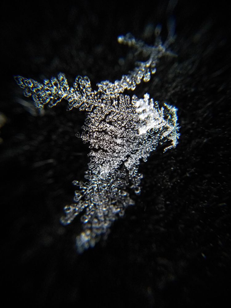 Photograph by Светлана Крошенкова