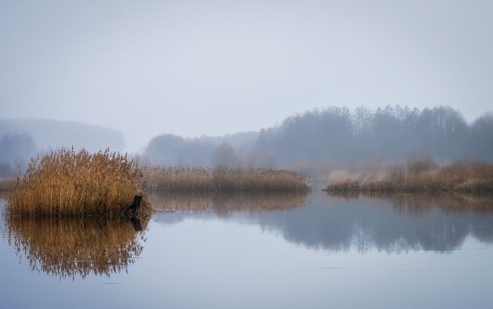 Photograph by Игорь Кляхин