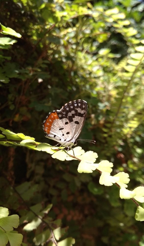 Photograph by Roshni Gupta