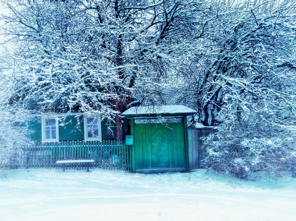 Photo #6933451